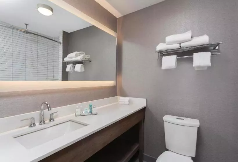 ホテル Wyndham Garden Laguardia South