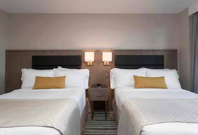 ホテル Wyndham Garden Laguardia South
