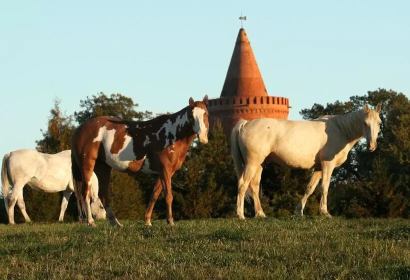 ホテル Zur Burg Gmbh