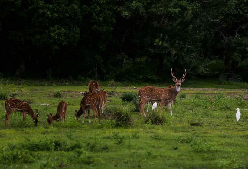 膳宿费 Balaji Ocean View