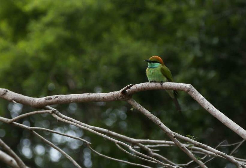 膳宿费 Balaji Ocean View