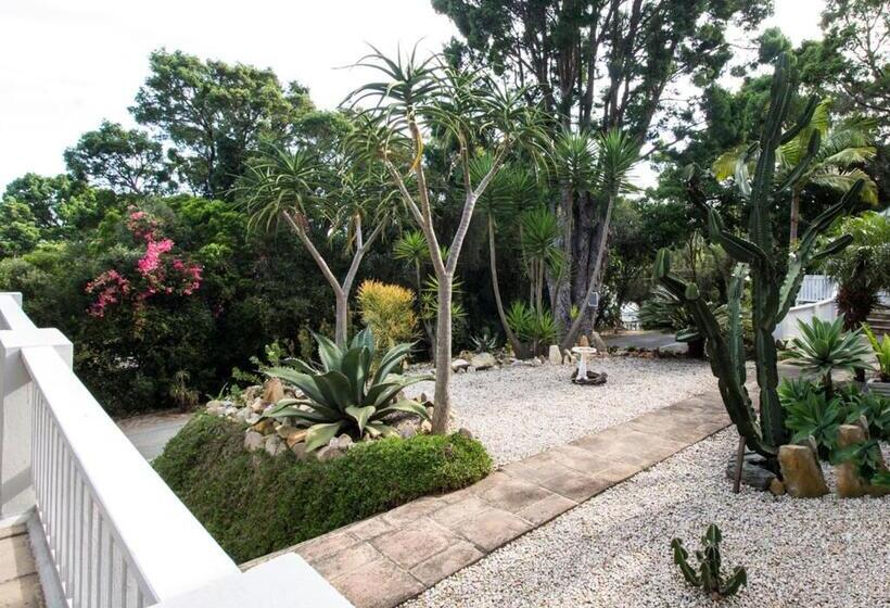 פנסיון South Villa Guesthouse&garden