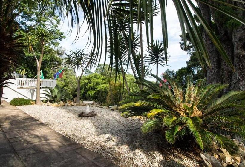 פנסיון South Villa Guesthouse&garden