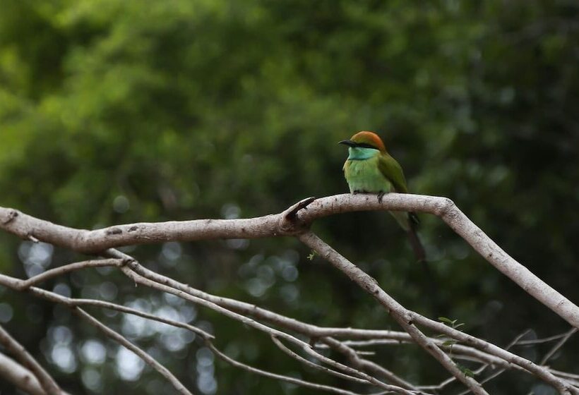 膳宿费 Balaji Ocean View