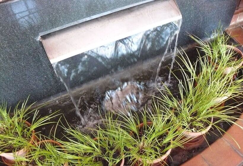 بنسيون The Woodpecker Inn