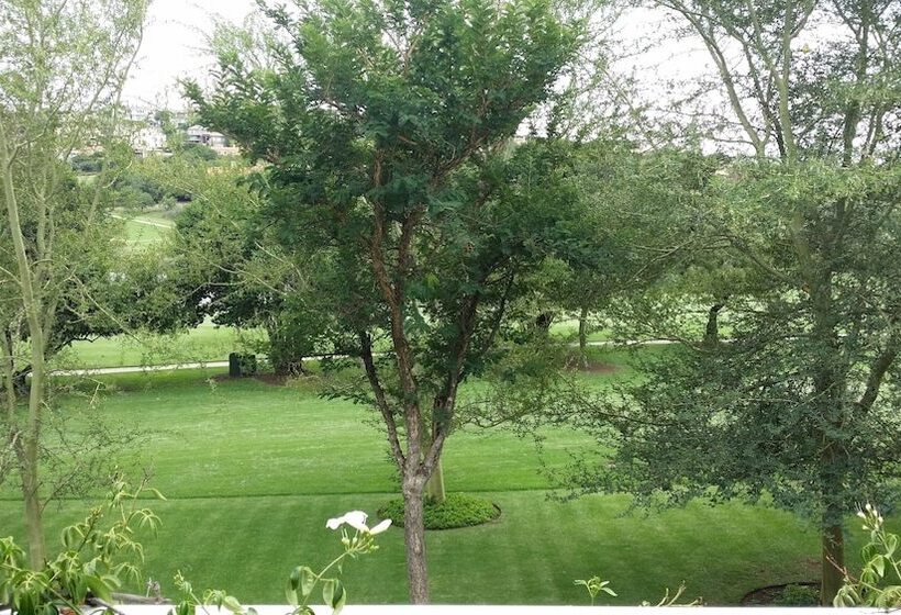 بنسيون The Woodpecker Inn