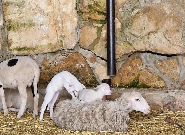 Agriturismo Il Drago