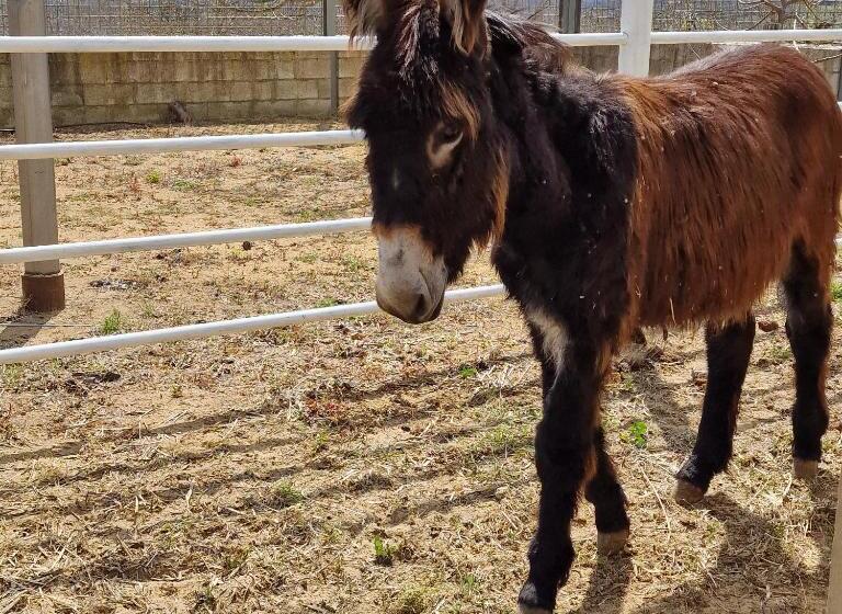 Agriturismo Il Drago