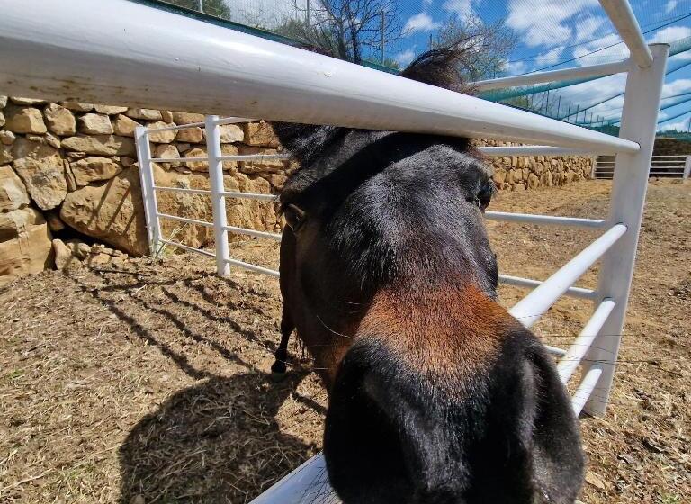 Agriturismo Il Drago