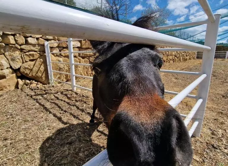 Agriturismo Il Drago