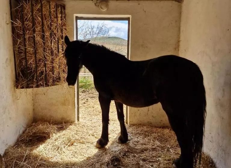 Agriturismo Il Drago