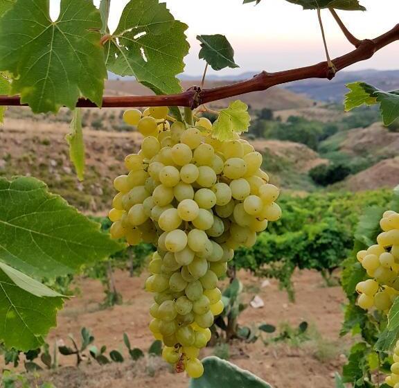 Agriturismo Il Drago