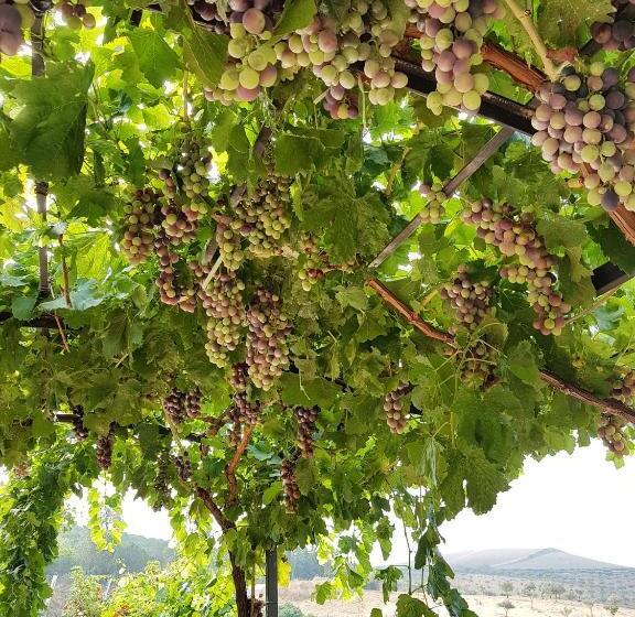 Agriturismo Il Drago