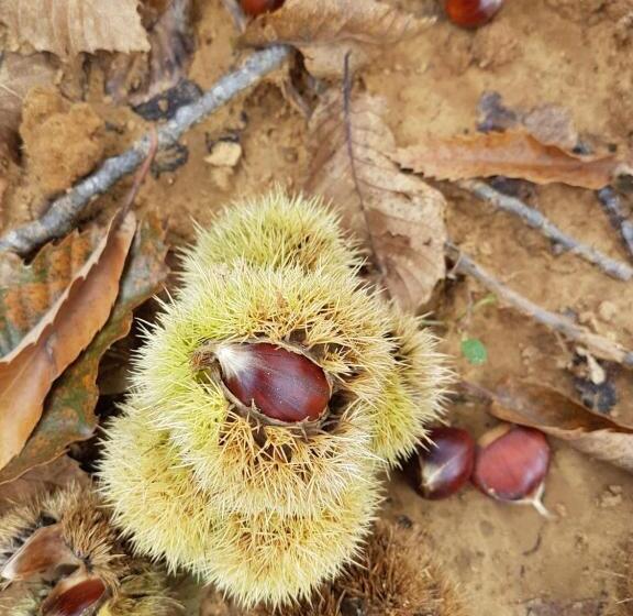 Agriturismo Il Drago