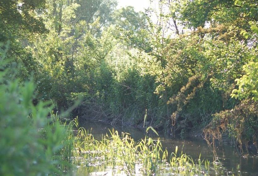 The Old Forge Bed & Breakfast