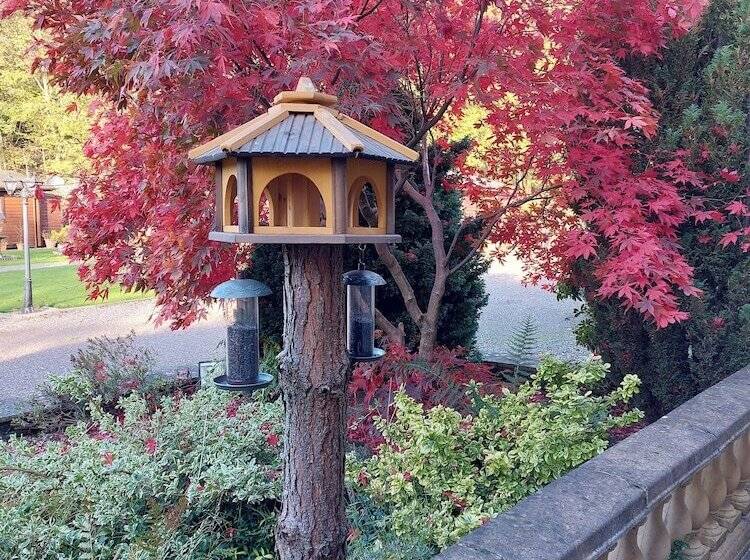 Bed and Breakfast The Steadings Log Cabins
