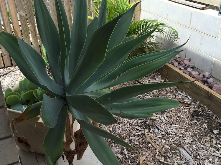 Bluewater Harbour Serviced Apartments