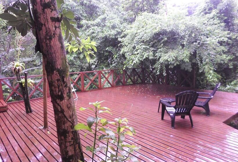 Отель Cabañas De La Costanera