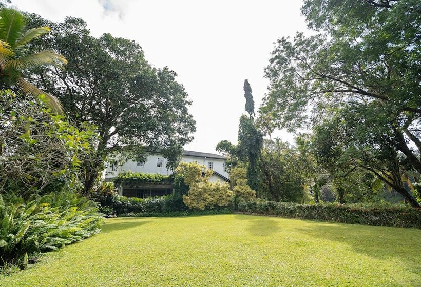 Отель Glenross Living