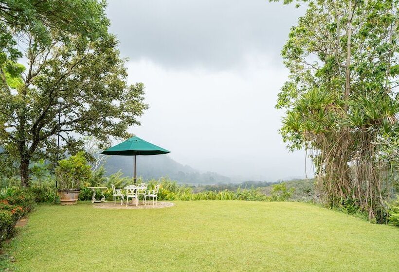 Отель Glenross Living