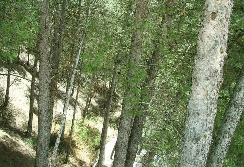 ホテル Río Piscina