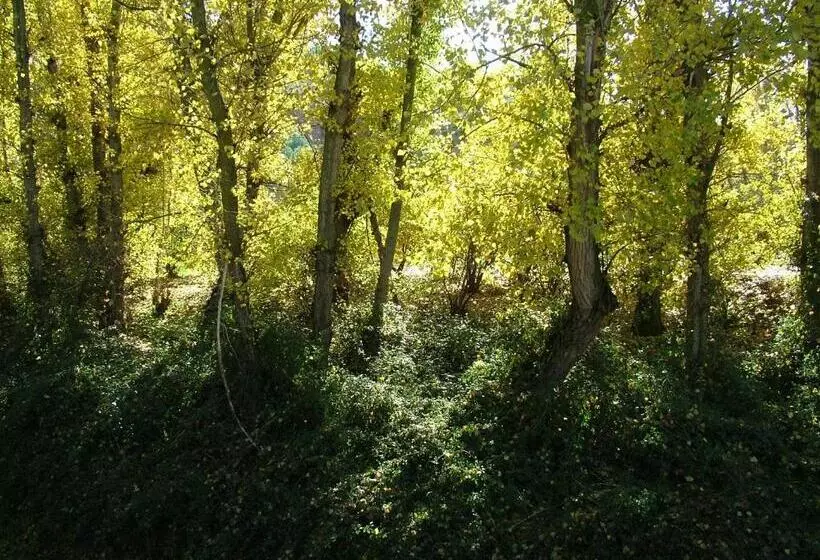 ホテル Río Piscina
