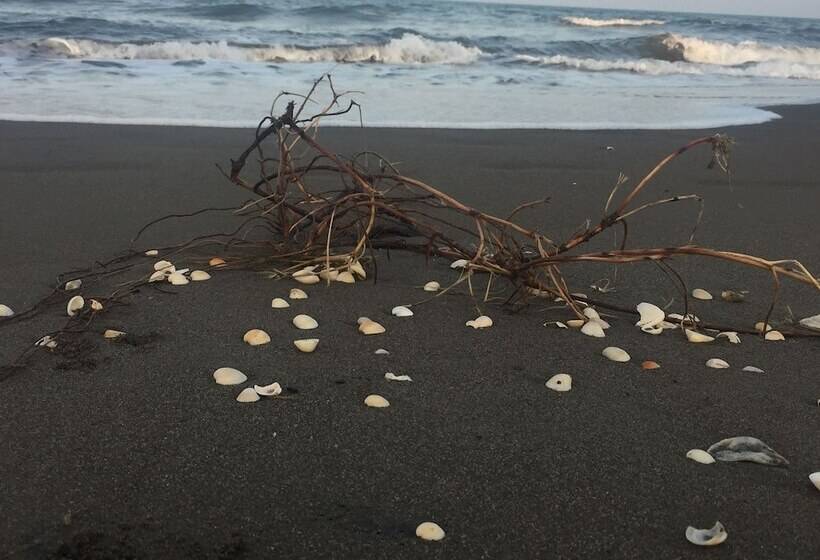 酒店 Taboga Eco Boutique