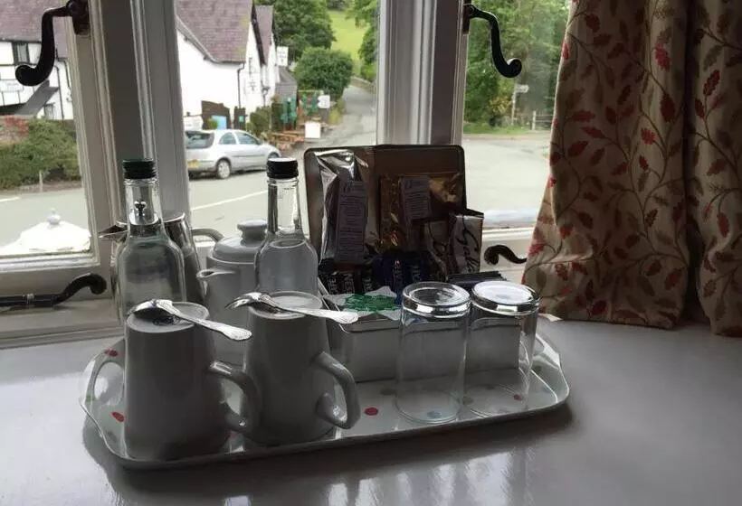 ホテル The Hand At Llanarmon