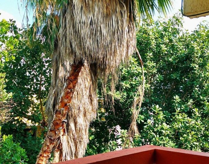 Kukulcan Hostel & Friends