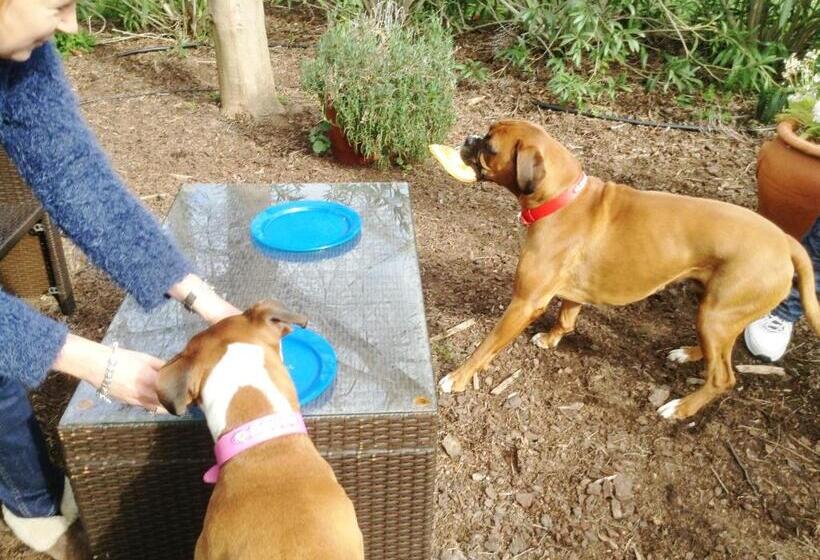 Must Love Dogs B&b & Self Contained Cottage