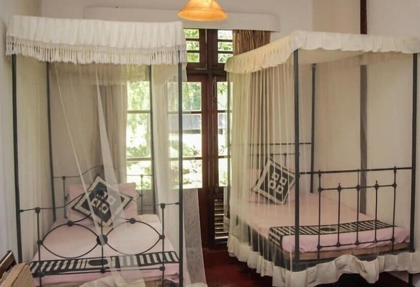 ペンション Ancoombra Tea Estate Bungalow