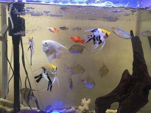 ペンション Proso Villa