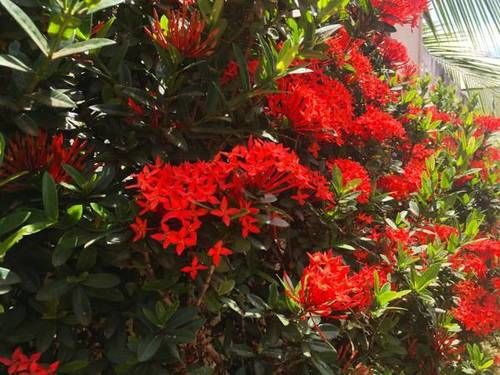 ペンション Proso Villa