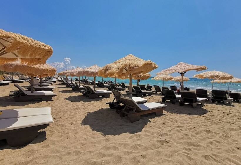 Bed and Breakfast Samanà Bed