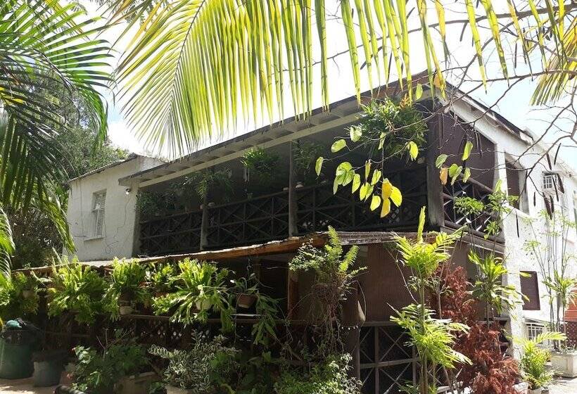 Barbados Chi Guest House