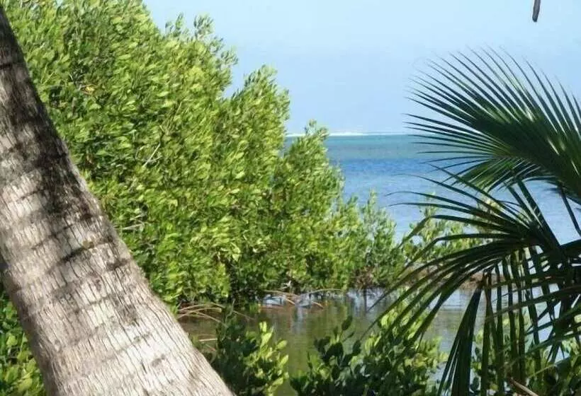 تختخواب و صبحانه Moorea Surf Inn