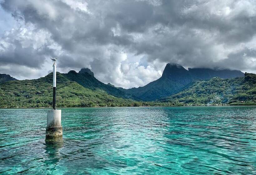 Nocleg ze śniadaniem Moorea Surf Inn