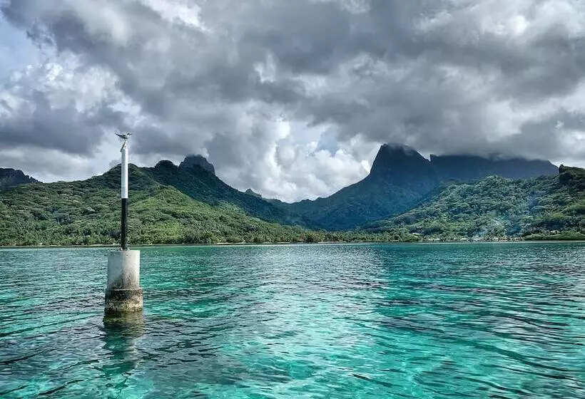 تختخواب و صبحانه Moorea Surf Inn
