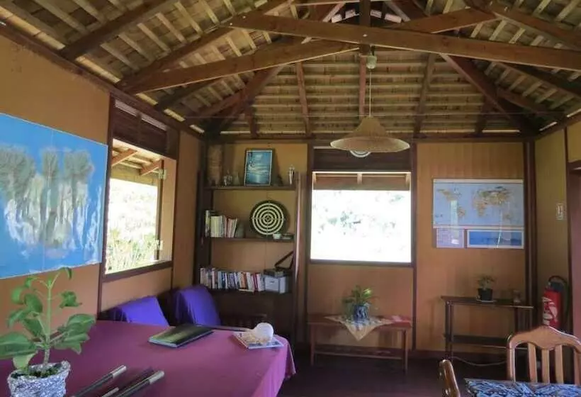 تختخواب و صبحانه Moorea Surf Inn