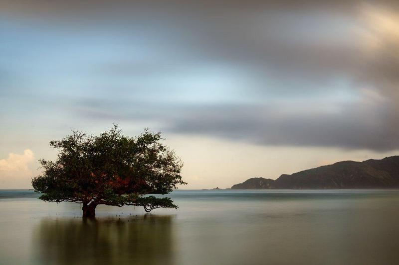 Отель Segara Anak