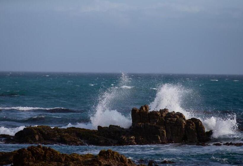 بنسيون Aire Del Mar Guest House