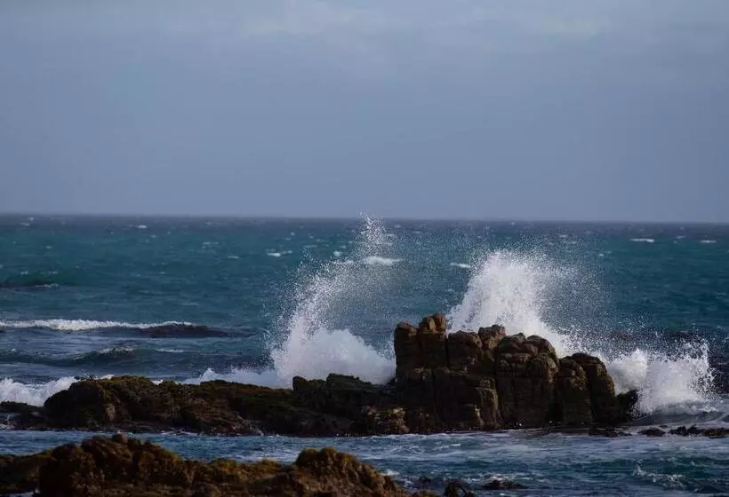 ペンション Aire Del Mar Guest House