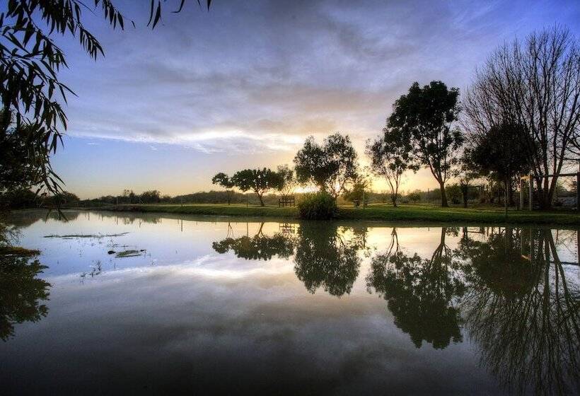 פנסיון De Old Drift Guest Farm