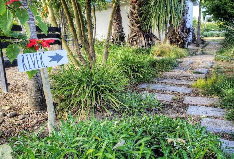 פנסיון De Old Drift Guest Farm