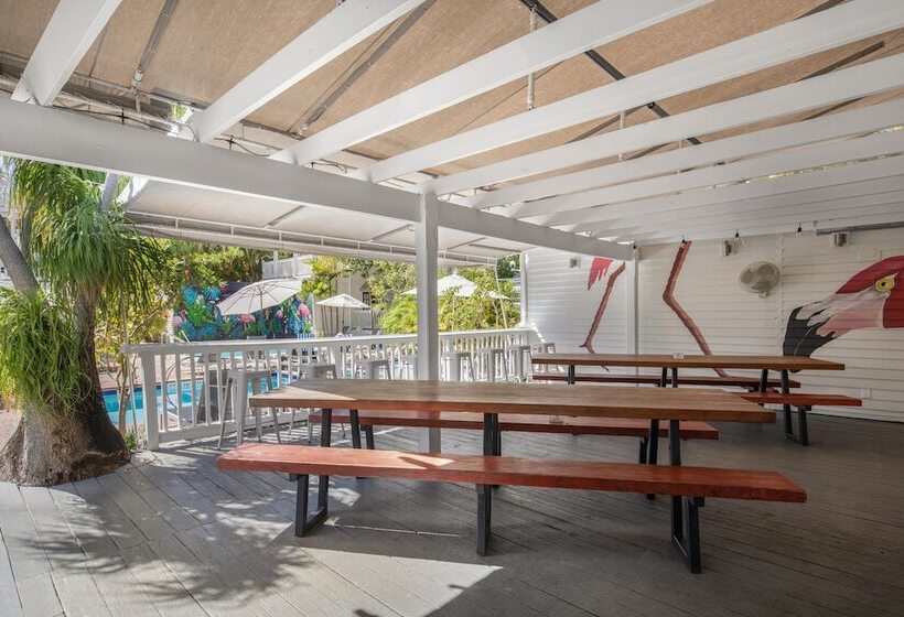 پانسیون Nyah   Adult Exclusive