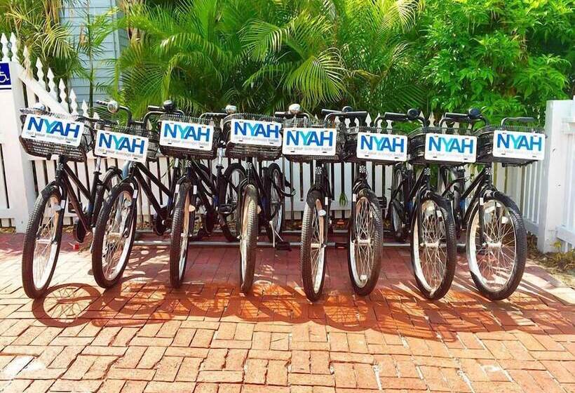 پانسیون Nyah   Adult Exclusive