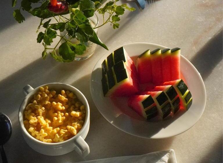 بنسيون The Village House