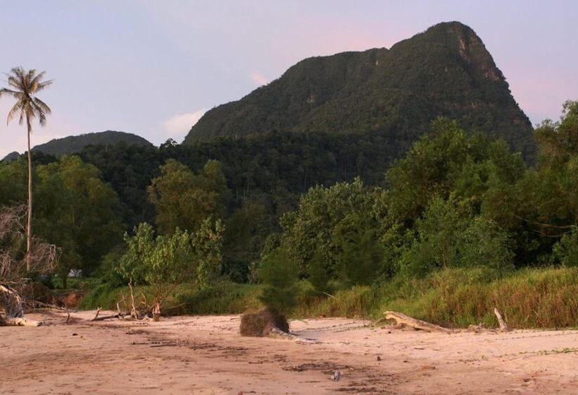 بنسيون The Village House