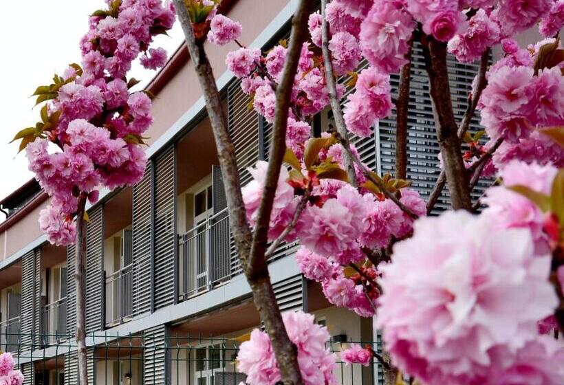 Privilege Apartments