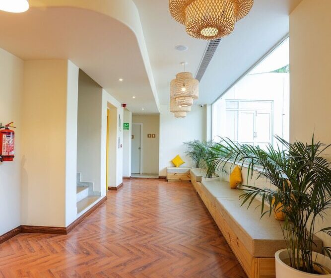 Bloom Hotel   Jalandhar